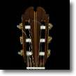 guitarspic